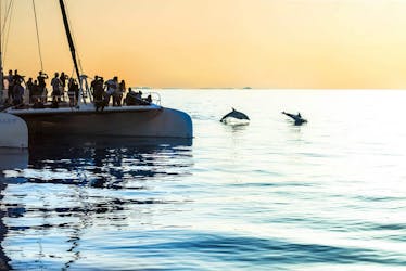 Majorca Dolphin Watching Cruise Ticket